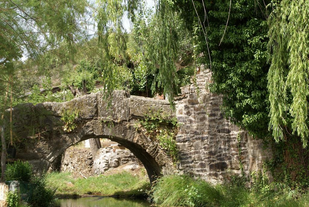 El Molino De Losacio 外观 照片