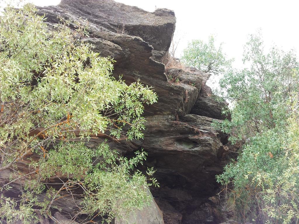 El Molino De Losacio 外观 照片